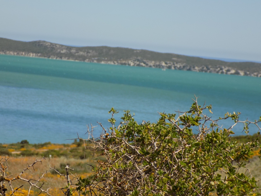 0 Bedroom Property for Sale in Shark Bay Estate Western Cape